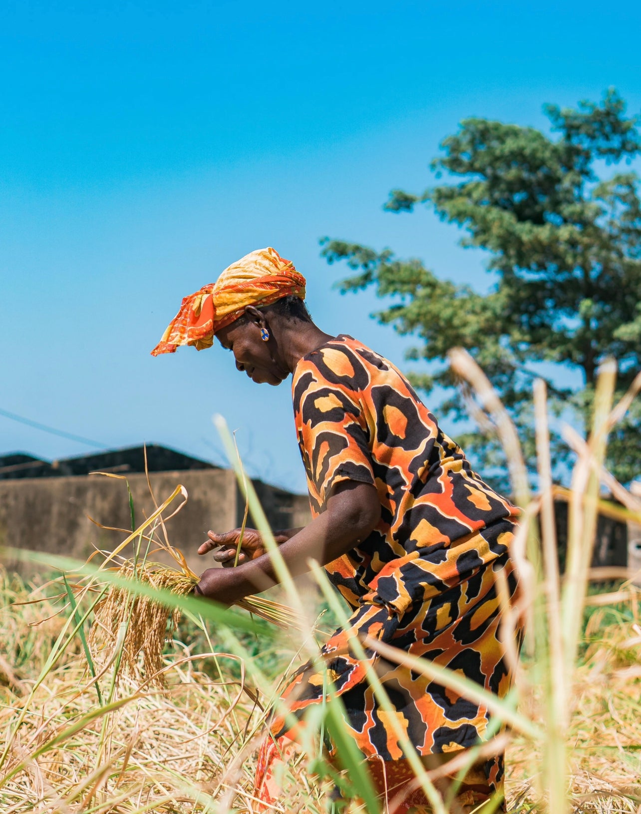 agricultrice